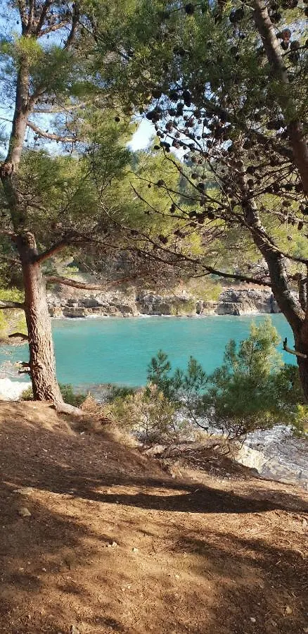Studio Apartment Hana Pula 0*,  Croatia