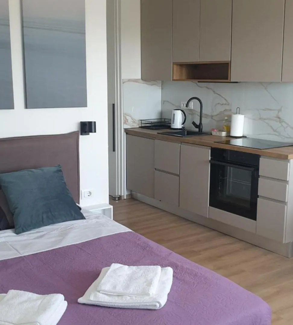 Studio Apartment Hana Pula 0*,  Croatia