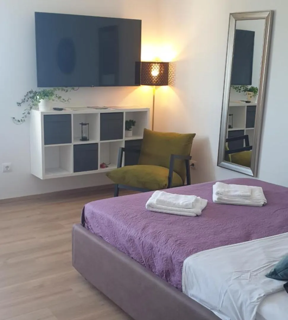 Studio Apartment Hana Pula
