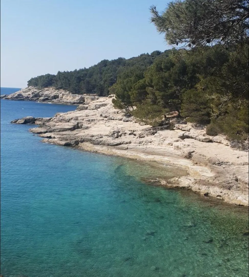 Studio Apartment Hana Pula Croatia